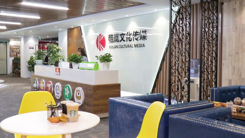 品牌设计整套方案：优缺点分析