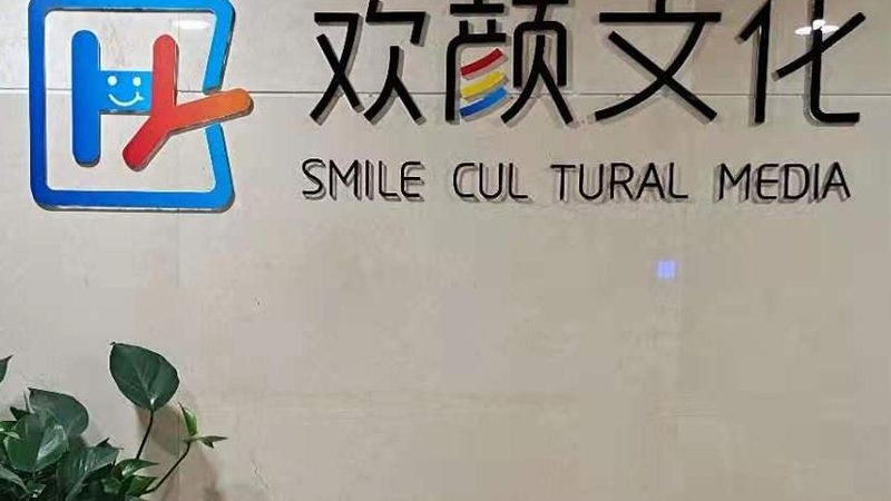 中小企业mg动画报价参考