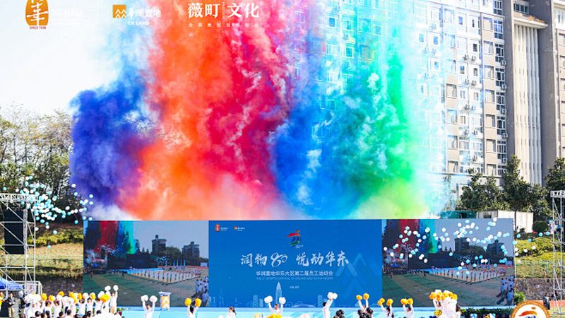 品牌设计整套方案：揭秘其核心内容与实施路径